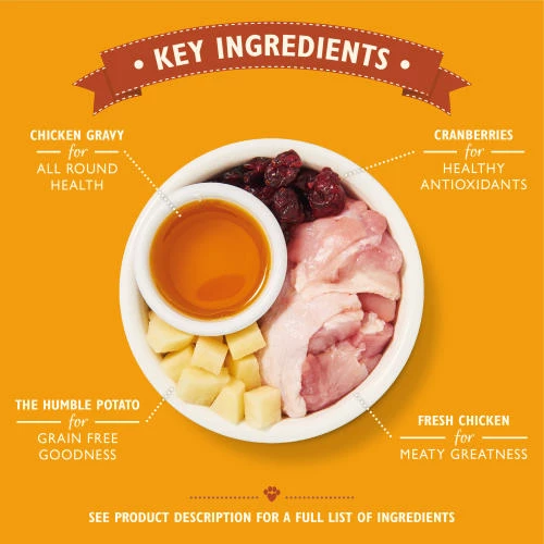 Lily's Kitchen Lilys Kitchen Delicious Chicken Casserole Complete Adult Cat Food 4 Lily's Kitchen Lilys Kitchen Delicious Chicken Casserole Complete Adult Cat Food - Image 2