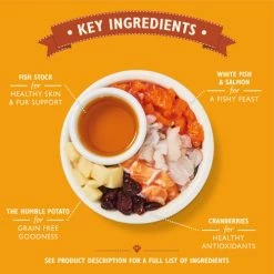 Lily's Kitchen Lilys Kitchen Fabulous Fishermans Feast Complete Adult Cat Food 8 Lily's Kitchen Lilys Kitchen Fabulous Fishermans Feast Complete Adult Cat Food -Cat shop 5060184244732 03 LK CAT DRY TRAY FISH 2KG KEY INGREDIENTS d5xxgh