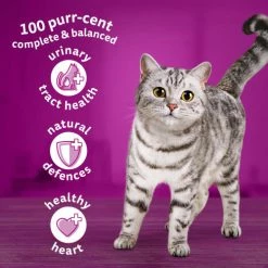 Whiskas 7+ Complete Chicken Senior Dry Cat Food -Cat shop 5900951259050 T60 wxvcqy