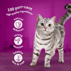 Whiskas 1+ Poultry Feasts In Jelly Wet Adult Cat Food -Cat shop 5900951302329 T60 gyctcj