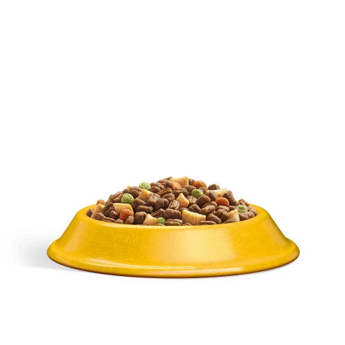 Whiskas 1+ Complete Chicken Dry Adult Cat Food 6 Whiskas 1+ Complete Chicken Dry Adult Cat Food - Image 4