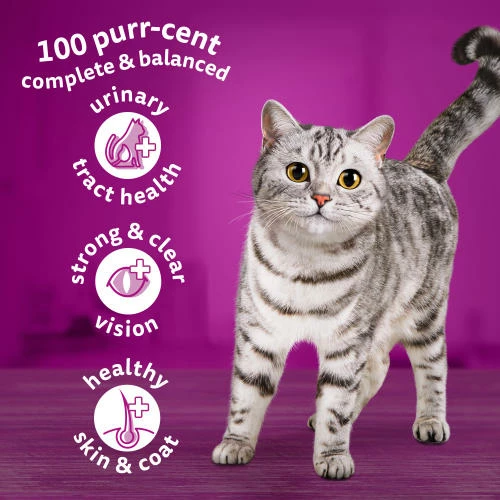Whiskas 1+ Complete Chicken Dry Adult Cat Food 7 Whiskas 1+ Complete Chicken Dry Adult Cat Food - Image 5
