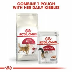 Royal Canin Regular Fit 32 Dry Adult Cat Food -Cat shop 5 v4arxt