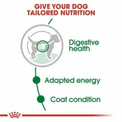 ROYAL CANIN® Mini Breed Adult Dog Food -Cat shop 5a1a1aa06f5e28b8afbe7c5355424d243a39609ff71576268b8c1978a0aa97d9