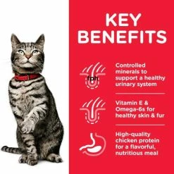 Hills Science Plan Urinary Health Chicken Dry Adult Cat Food 5 Hills Science Plan Urinary Health Chicken Dry Adult Cat Food -Cat shop 604136 Key Benefits nhkkte