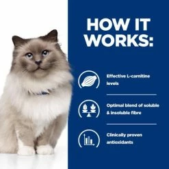 Hills Prescription Diet RD Weight Reduction Dry Cat Food Chicken -Cat shop 606524 Thumbanil04 nbplli