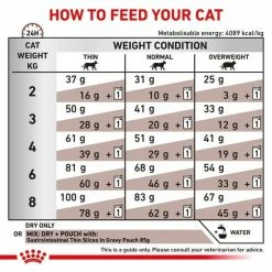 ROYAL CANIN® Cat Food Gastrointestinal Veterinary Health Nutrition -Cat shop 6d37cb4164ad1fbbe2ba576407302b9f915b69e7a4c73b1390b5332a825e358e