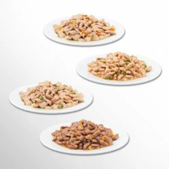 Perfect Fit Mixed Pack Wet Adult 1+ Cat Food 11 Perfect Fit Mixed Pack Wet Adult 1+ Cat Food -Cat shop 8410136010507 10 gh3zip