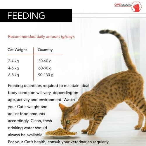 PURINA PRO PLAN PRO PLAN Original Salmon Dry Adult Cat Food 5 PURINA PRO PLAN PRO PLAN Original Salmon Dry Adult Cat Food - Image 3