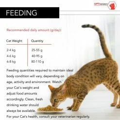 PURINA PRO PLAN PRO PLAN Sterilised Salmon Dry Adult Cat Food -Cat shop 8502694 T282 a5om6h