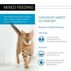 PURINA PRO PLAN PRO PLAN NUTRISAVOUR Delicate Ocean Fish Adult Cat Food -Cat shop 8554490 T61 bgwcjk