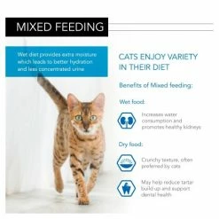 PURINA PRO PLAN PRO PLAN NUTRISAVOUR Kitten Turkey In Gravy Cat Food 11 PURINA PRO PLAN PRO PLAN NUTRISAVOUR Kitten Turkey In Gravy Cat Food -Cat shop 8558220 T61 g1jivd