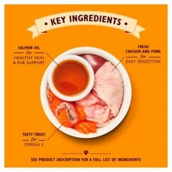 Lily's Kitchen Lilys Kitchen Chicken Pate Kitten Complete Wet Cat Food -Cat shop 8763684 T60 nzmb2r