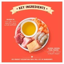 Lily's Kitchen Lilys Kitchen Salmon & Chicken Pate Complete Wet Cat Food -Cat shop 8934579 T61 alrinz