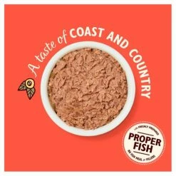 Lily's Kitchen Lilys Kitchen Salmon & Chicken Pate Complete Wet Cat Food -Cat shop 8934579 T62 rxfkgc