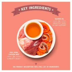 Lily's Kitchen Lilys Kitchen Organic Fish Pate Complete Wet Cat Food -Cat shop 8934586 T61 buy8lc