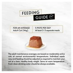 Gourmet Revelations Salmon In Gravy Wet Cat Food -Cat shop 8973490 T283 mgzih9