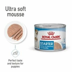 ROYAL CANIN® STARTER Mother & Babydog Wet Dog Food -Cat shop 8c3b42a5226198c95e411167e90a9ca699659231158c75f6abac29480db32173