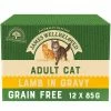 James Wellbeloved Grain Free Lamb Adult Cat Pouches -Cat shop 9003579310557 T14