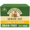 James Wellbeloved Grain Free Lamb Senior Cat Pouches