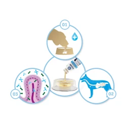 Oralade® Advanced GI+ Oral Rehydration Support Liquid Concentrated Sachets For Dogs And Cats -Cat shop 97e3aaa5a6230f72b7f3ae2bdb972f22a245cfbed82a0480b929bf5a371ccf0e