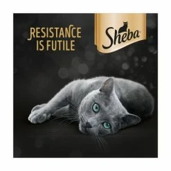 Sheba Select Slices Poultry Collection In Gravy Wet Adult Cat Food -Cat shop 9953717 T65 alepr4