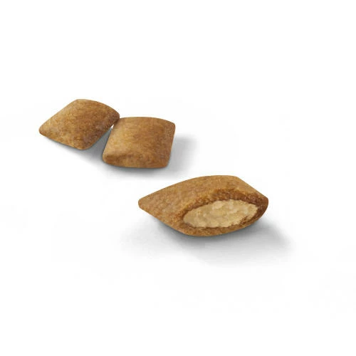 Royal Canin Ageing 12+ Dry Adult Senior Cat Food 4 Royal Canin Ageing 12+ Dry Adult Senior Cat Food - Image 2