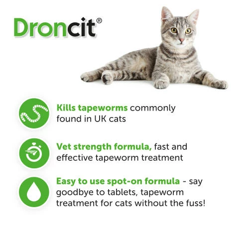 Vetoquinol Droncit Spot On Tapewormer Wormer For Cats 4 Vetoquinol Droncit Spot On Tapewormer Wormer For Cats - Image 2