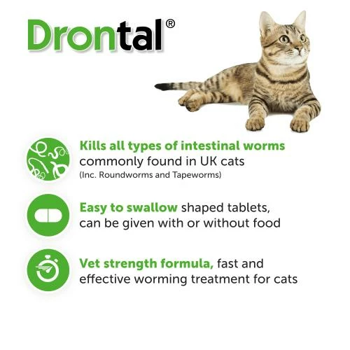 Drontal Worming Tablets For Small & Medium Cats Under 4kg 4 Drontal Worming Tablets For Small & Medium Cats Under 4kg - Image 2
