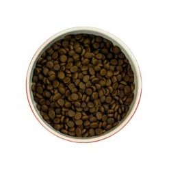 Meowing Heads So-Fish-Ticated Salmon Adult Cat Food -Cat shop MH Cat Salmon Flat Lay i0ju5w