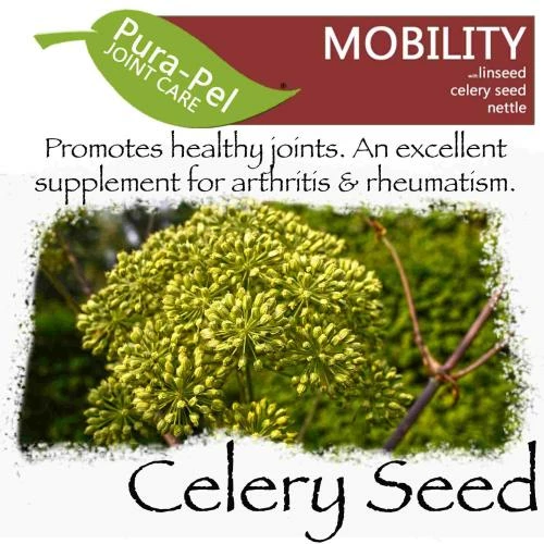 Green Pantry Pura Pel Mobility Herbal Cat & Dog Supplement 6 Green Pantry Pura Pel Mobility Herbal Cat & Dog Supplement - Image 4