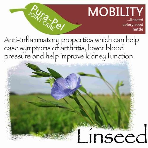 Green Pantry Pura Pel Mobility Herbal Cat & Dog Supplement 5 Green Pantry Pura Pel Mobility Herbal Cat & Dog Supplement - Image 3