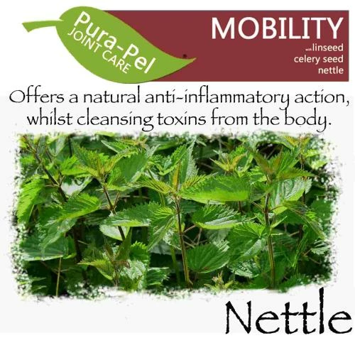 Green Pantry Pura Pel Mobility Herbal Cat & Dog Supplement 7 Green Pantry Pura Pel Mobility Herbal Cat & Dog Supplement - Image 5