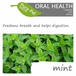 Green Pantry Pura Pel Dental Herbal Cat & Dog Supplement -Cat shop Pura Pel Dental Mint 1 gg5dca