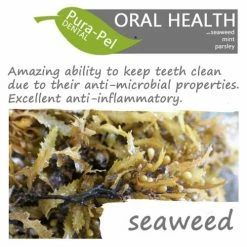 Green Pantry Pura Pel Dental Herbal Cat & Dog Supplement -Cat shop Pura Pel Dental Seaweeds 1 ubeche