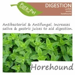 Green Pantry Pura Pel Defence Herbal Cat & Dog Supplement -Cat shop Pura Pel Sensitive Horehound 1 xyemlq