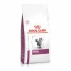 Royal Canin Veterinary Diets Renal Dry Adult Cat Food -Cat shop RCRenalCat op7jgz