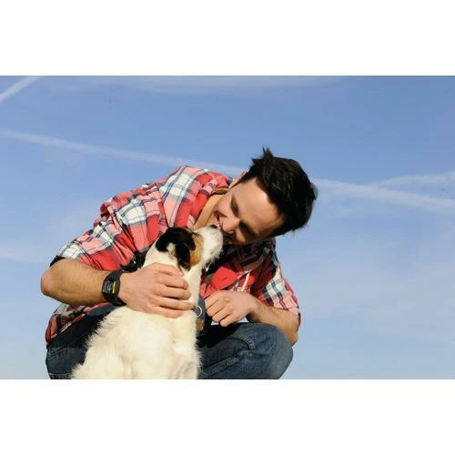 Seraquin Dog & Cat Joint Supplement 7 Seraquin Dog & Cat Joint Supplement - Image 5