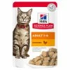 Hills Science Plan Adult Chicken Pouches Wet Cat Food -Cat shop SP 604001 Pch a3hjhe