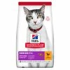 Hills Science Plan Senior Dry Cat Food Chicken