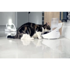 Sure Petcare Felaqua Connect Cat Drinking System -Cat shop Sure Petcare Felaqua Connect Paddock 2 jwnbow