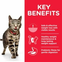 Hills Science Plan Adult Perfect Weight Wet Cat Food Multipack Chicken & Salmon -Cat shop Thumbnail 2 604016 Key Benefits agxg5g