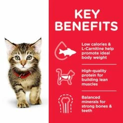Hills Science Plan Tuna Dry Kitten Food -Cat shop Thumbnail 2 604053 Key Benefits fq9x7o