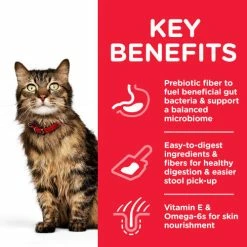 Hills Science Plan Adult Sensitive Stomach & Skin Dry Cat Food Chicken -Cat shop Thumbnail 2 604072 Key Benefits a6lu3e