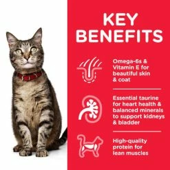 Hills Science Plan Tuna Dry Adult Cat Food -Cat shop Thumbnail 2 604076 Key Benefits yfbf9g