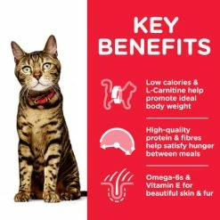 Hills Science Plan Adult Light Dry Cat Food Tuna -Cat shop Thumbnail 2 604086 Key Benefits d2szxc