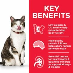 Hills Science Plan Mature Adult 7+ Light Chicken Dry Cat Food -Cat shop Thumbnail 2 604103 Key Benefits f2lmfd