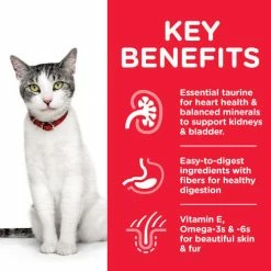 Hills Science Plan Senior Dry Cat Food Chicken -Cat shop Thumbnail 2 604105 Key Benefits vrzvbq
