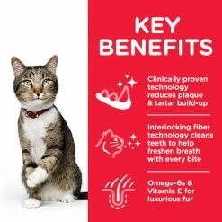 Hills Science Plan Adult Oral Care Chicken Dry Cat Food -Cat shop Thumbnail 2 604143 Key Benefits vqjg1u