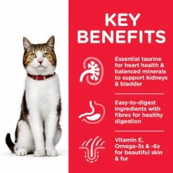 Hills Science Plan Tuna Mature Adult 7+ Dry Cat Food -Cat shop Thumbnail 2 604179 Key Benefits gnzq7z